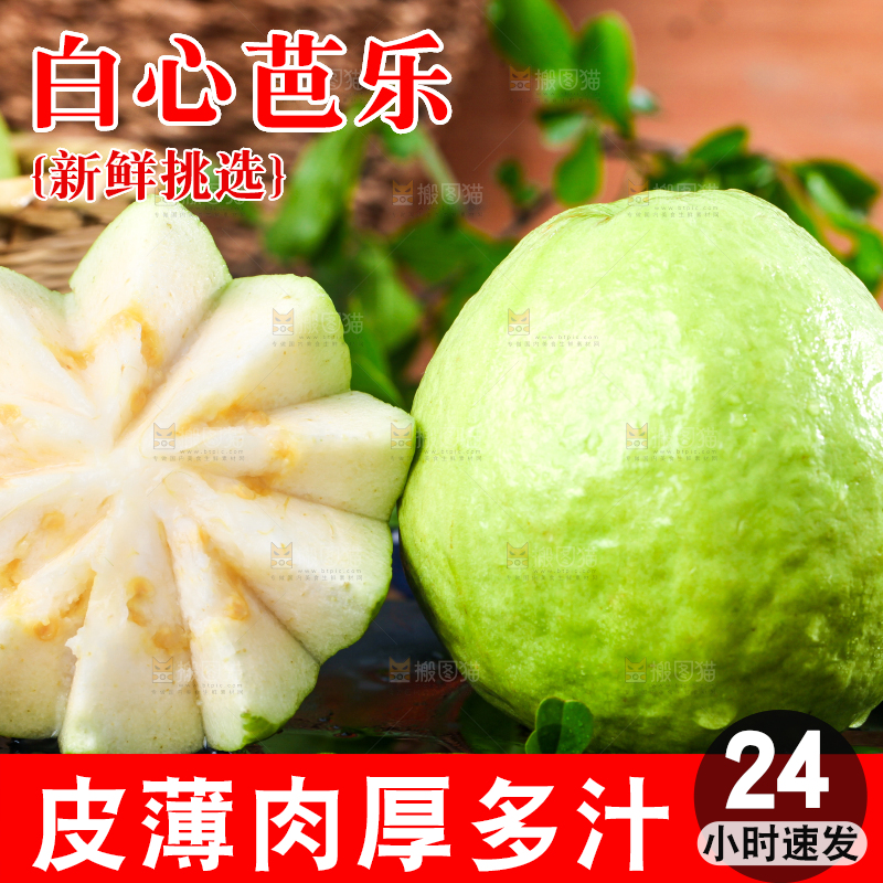 深底上的白心芭乐
