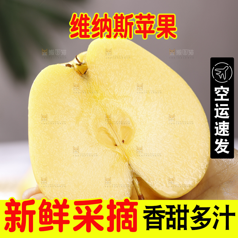 浅底上的维纳斯苹果
