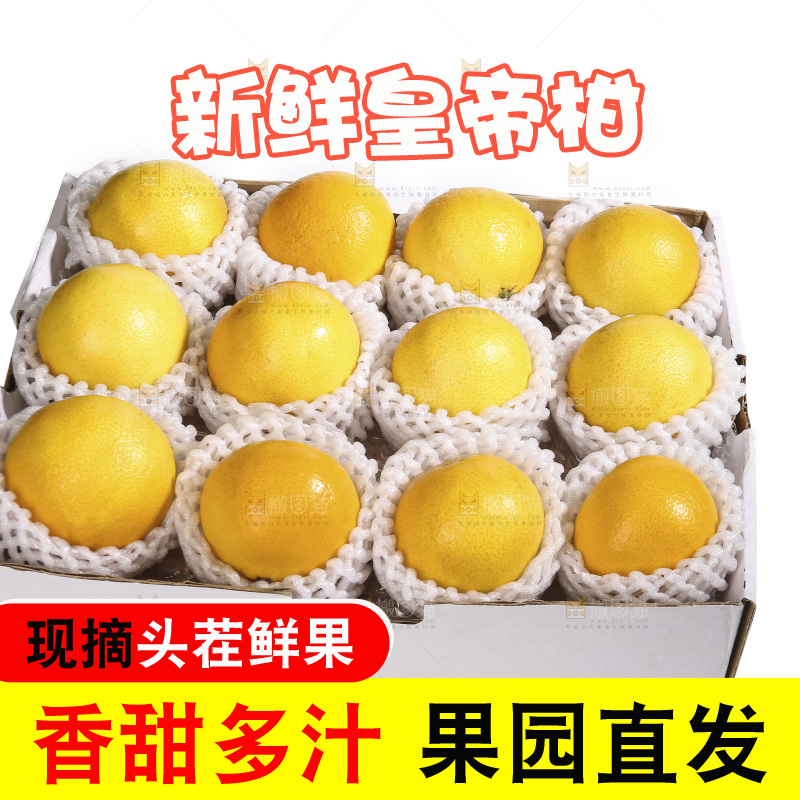 白底上的皇帝柑