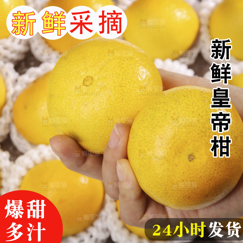 白底上的皇帝柑