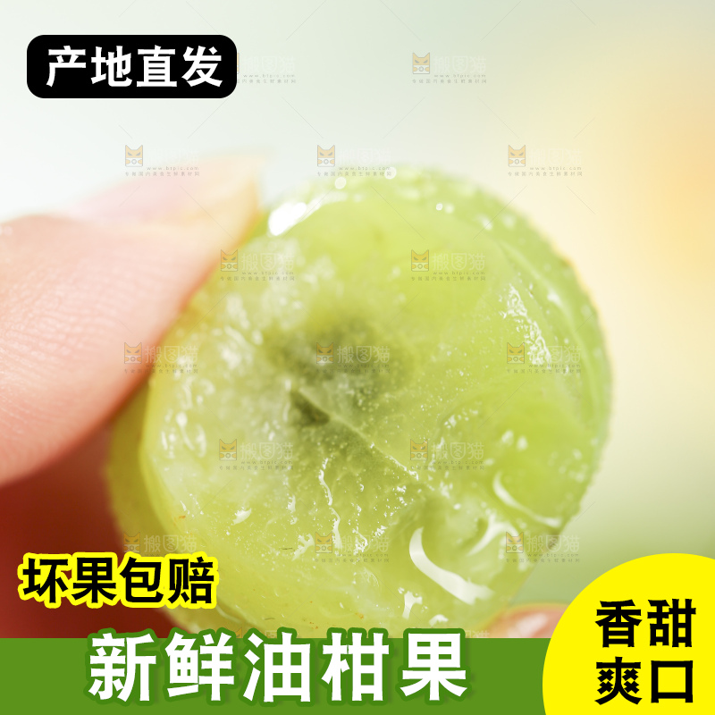 浅底上的油甘果