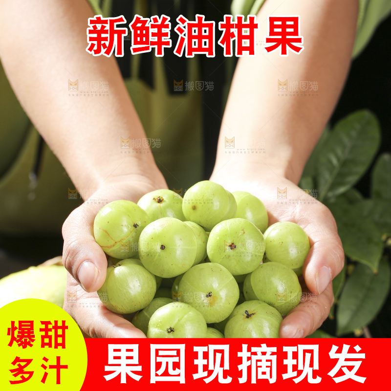 深底上的油甘果