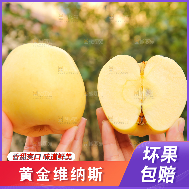 手里拿着维纳斯苹果