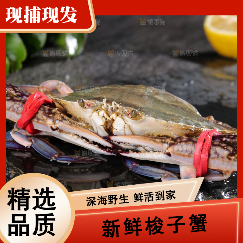 深底上放着梭子蟹