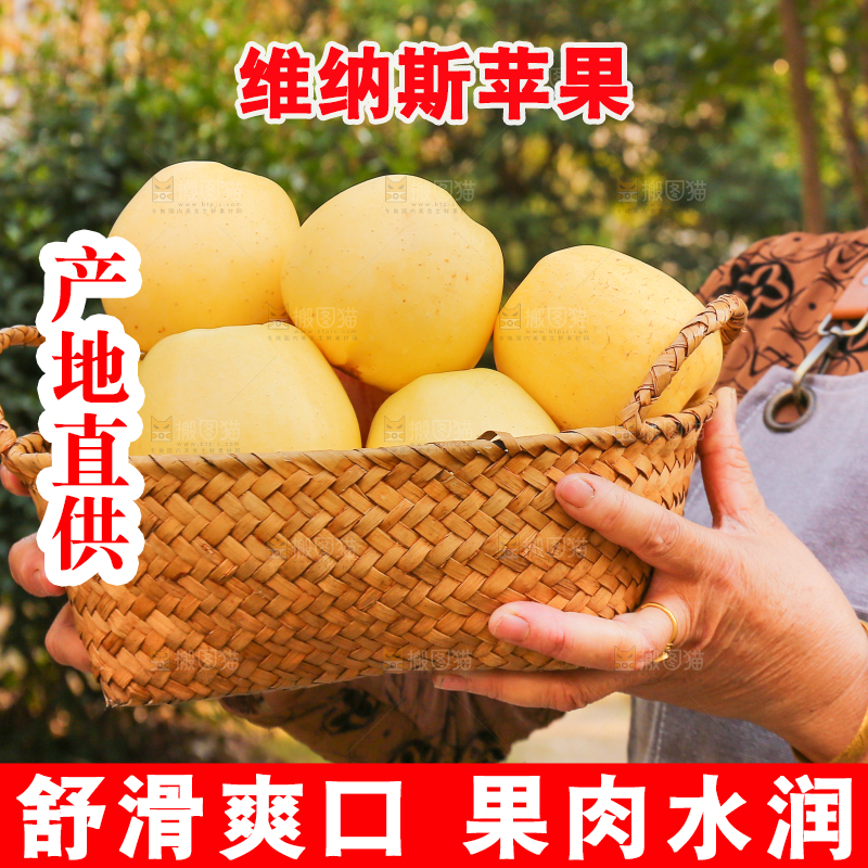 手里拿着维纳斯苹果