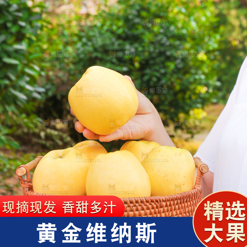 手里拿着维纳斯苹果