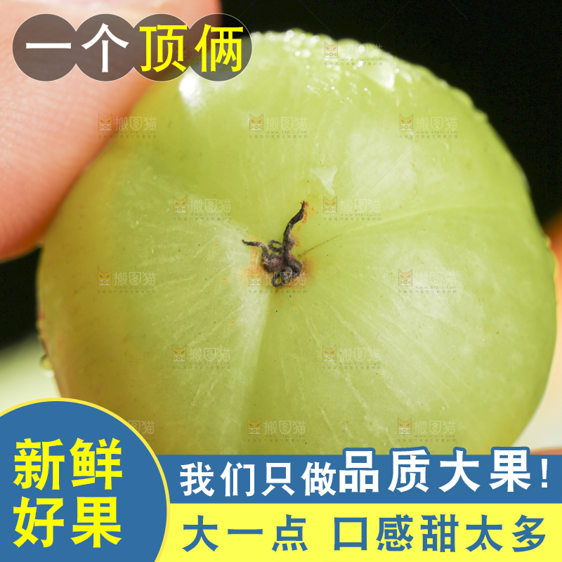 深底上的油甘果