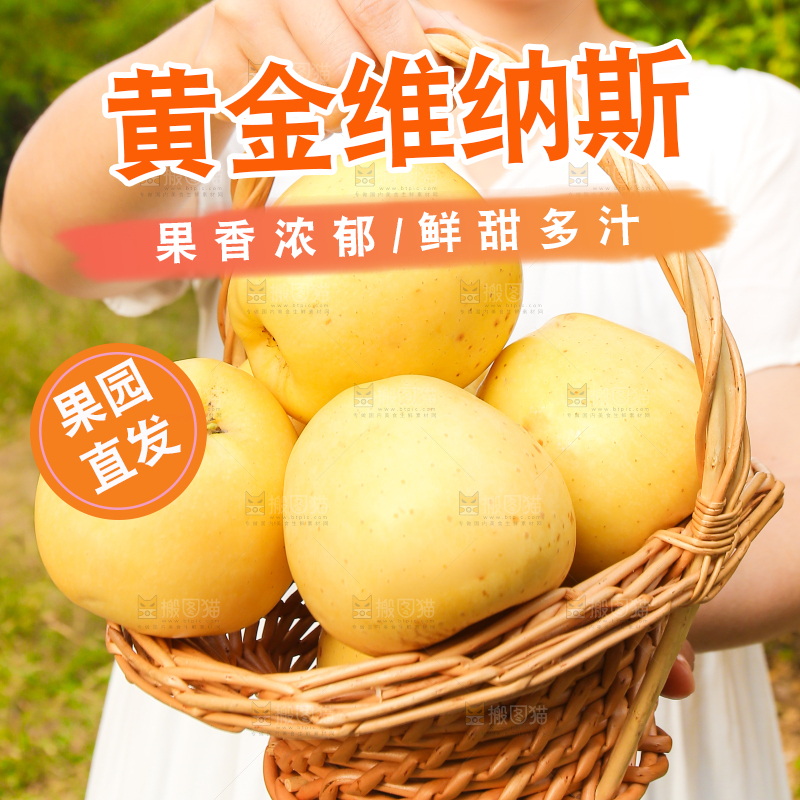 手里拿着维纳斯苹果