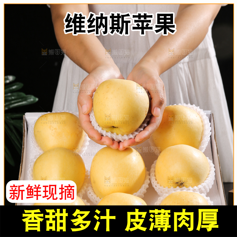 白底上的维纳斯苹果