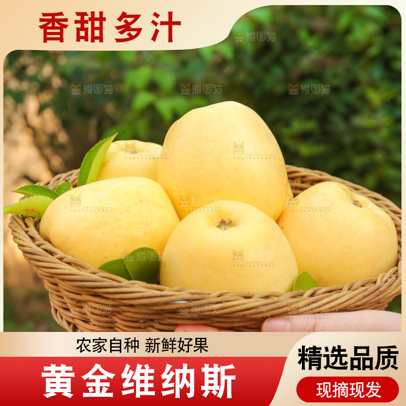手里拿着维纳斯苹果