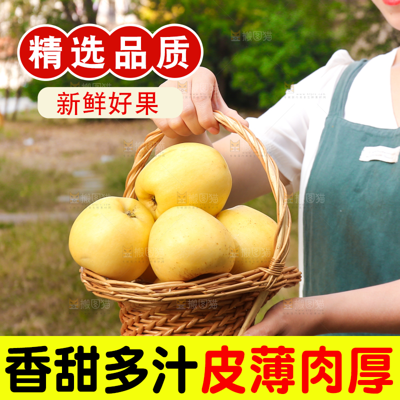 手里拿着维纳斯苹果