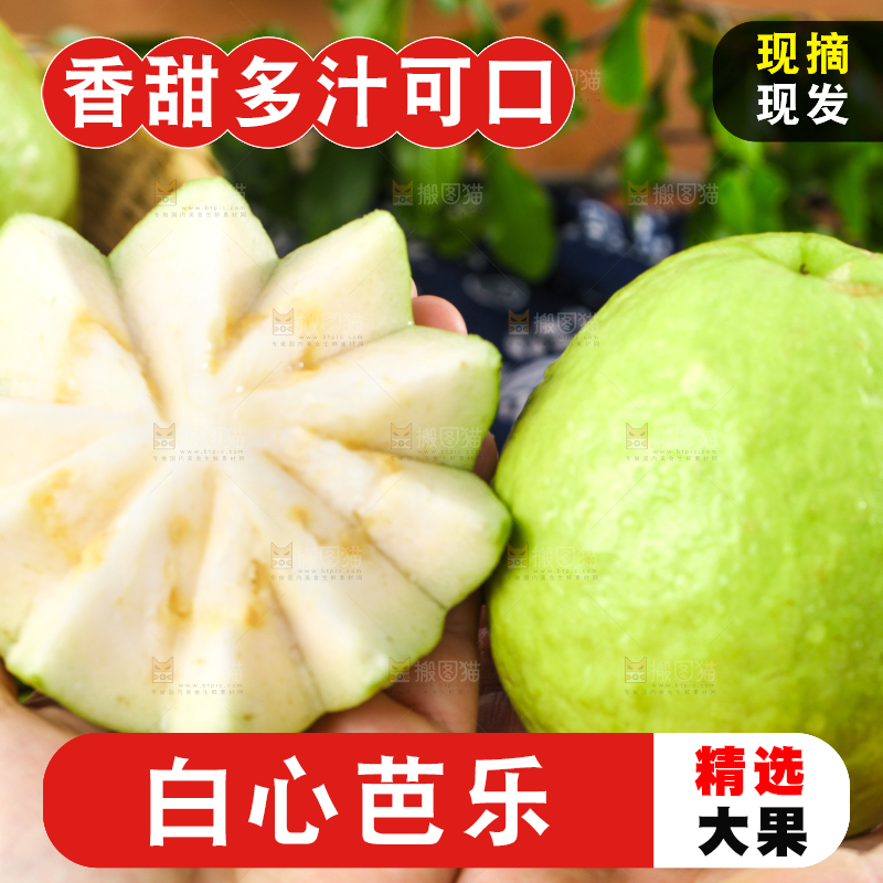 深底上的白心芭乐