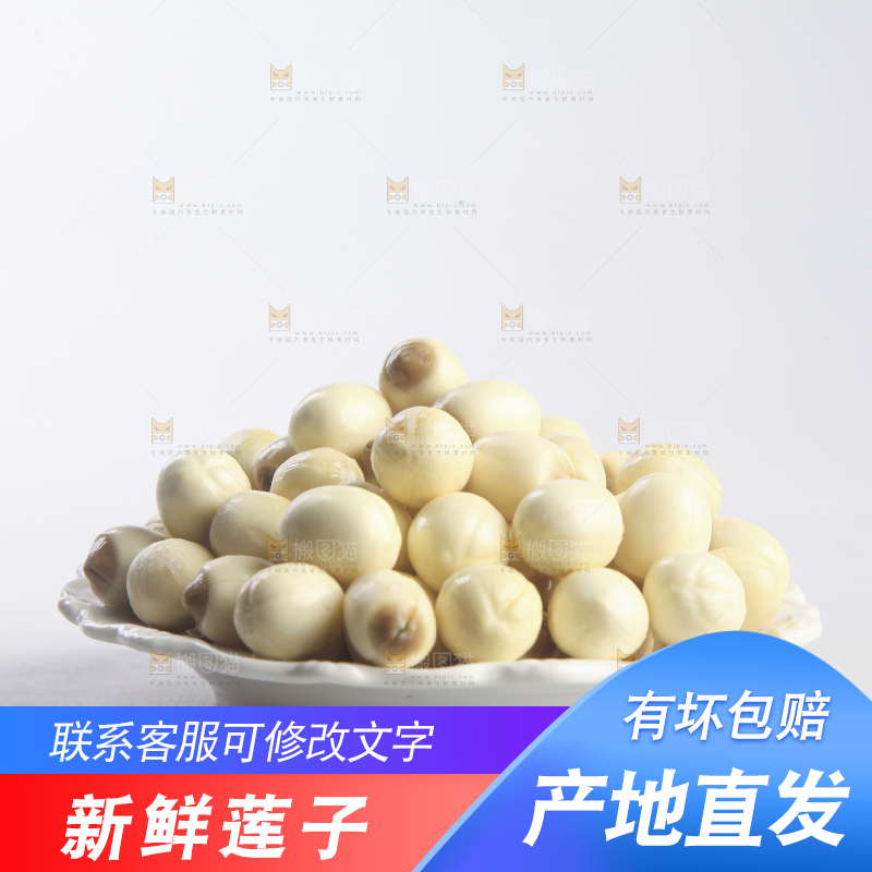 白底上的莲子