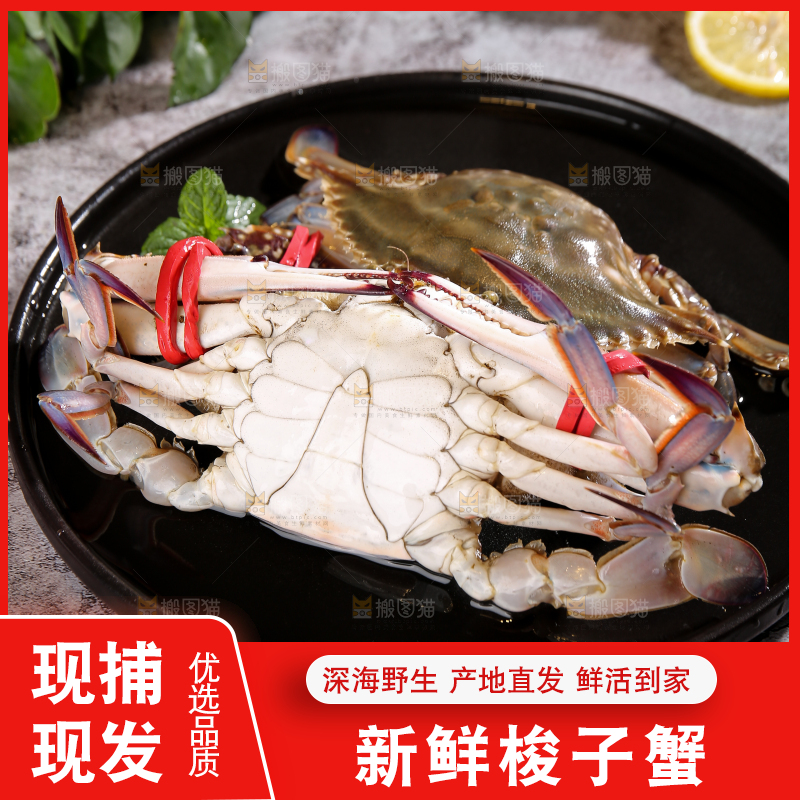 深底上放着梭子蟹