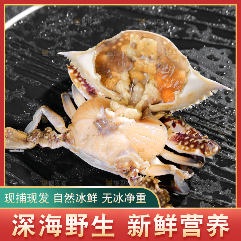深底上放着梭子蟹