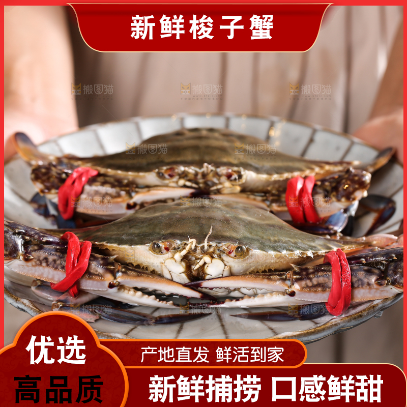 深底上放着梭子蟹