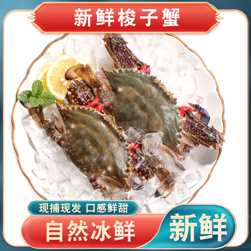 白底上的梭子蟹