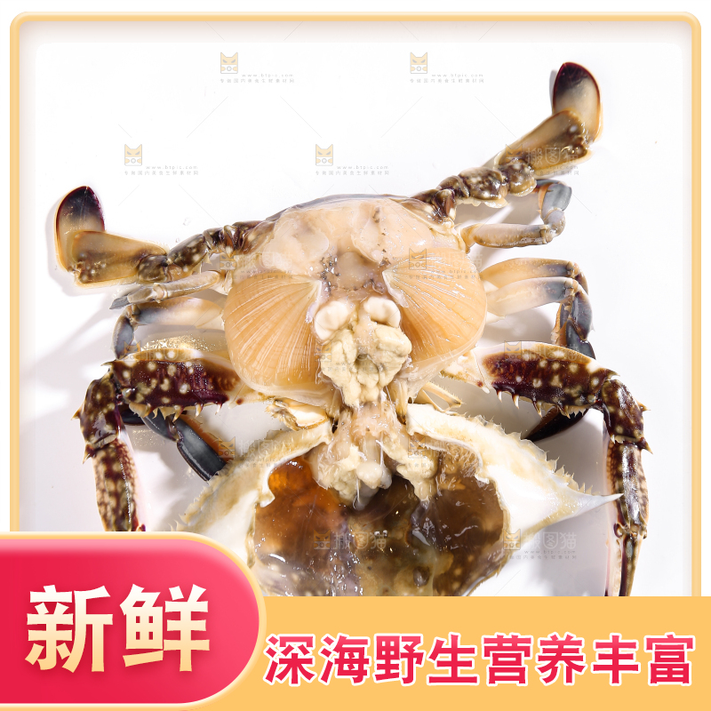 白底上的梭子蟹
