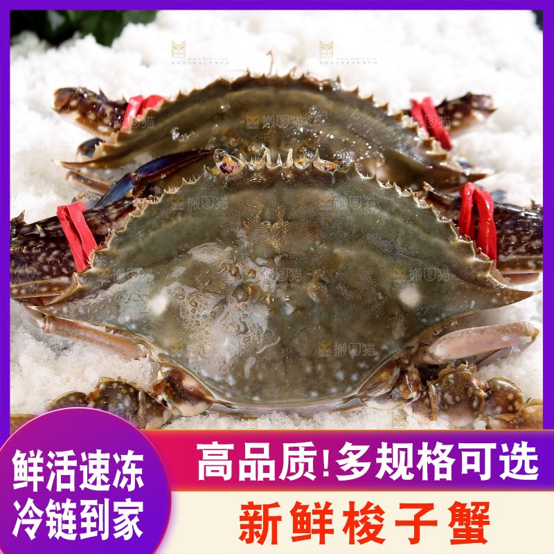 深底上放着梭子蟹