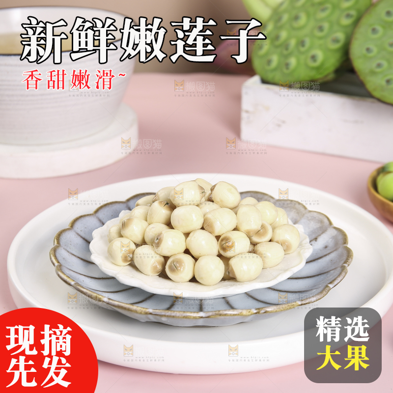 浅底上的莲子