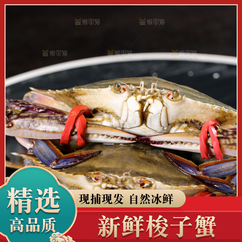 深底上放着梭子蟹