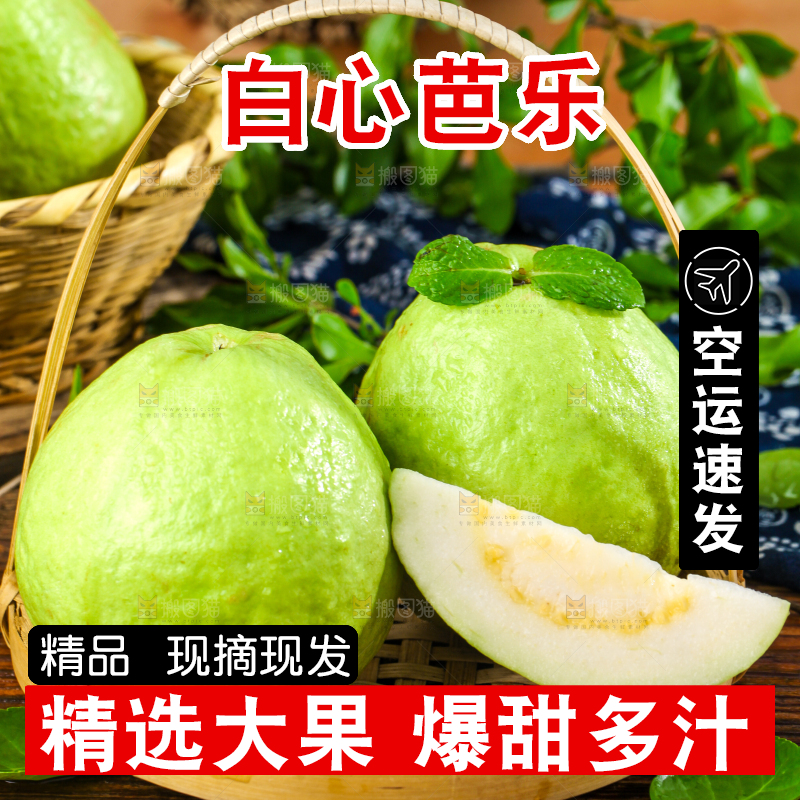 深底上的白心芭乐
