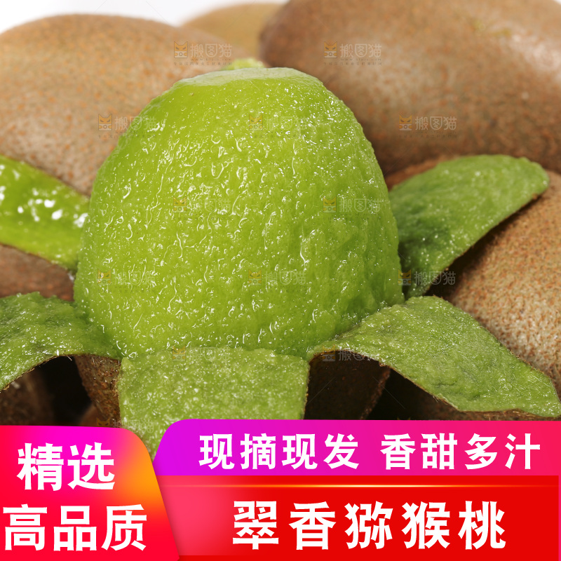 白底上放着翠香猕猴桃