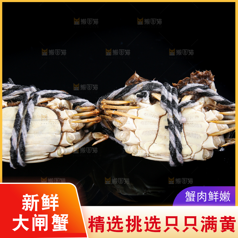 黑底上的鲜活大闸蟹