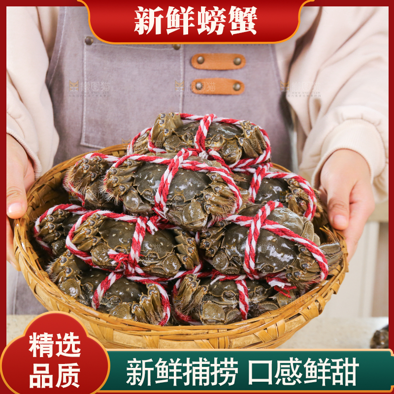 浅底上的鲜活螃蟹