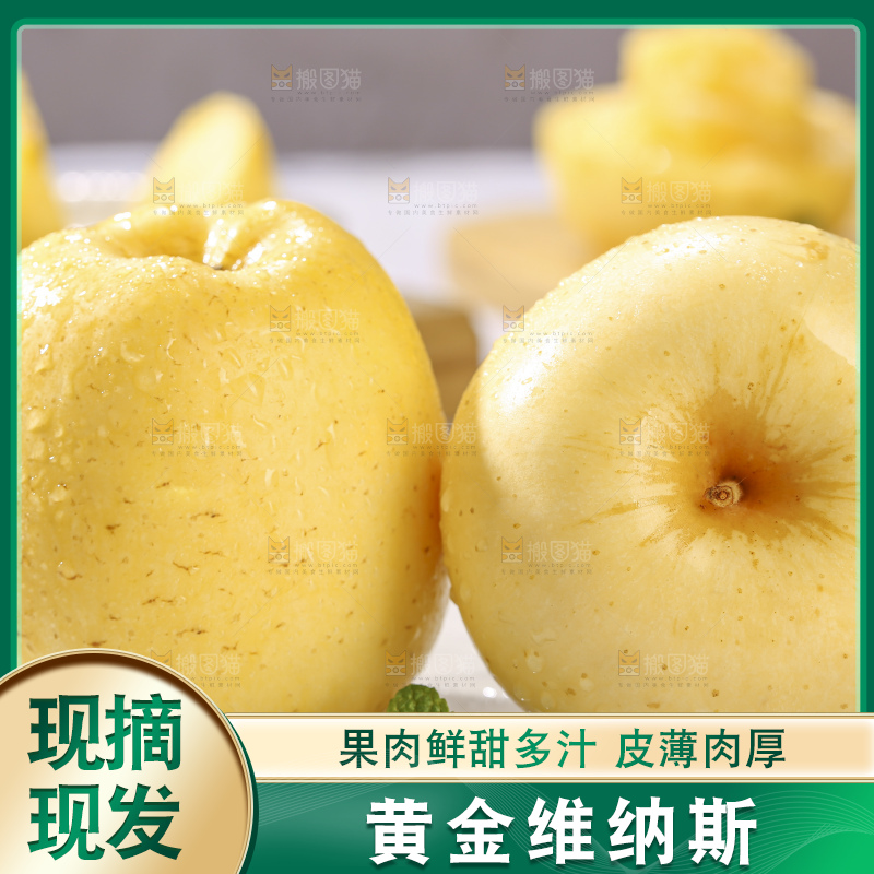浅底上的维纳斯苹果