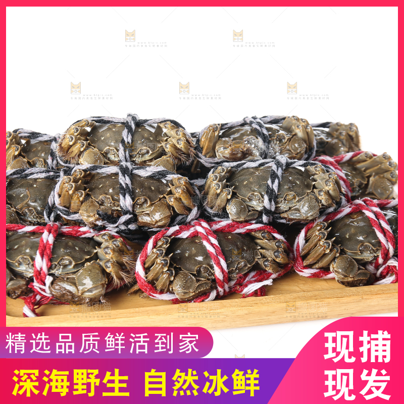 白底上的大闸蟹