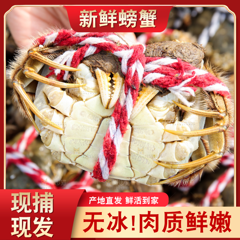 手里拿着阳澄湖大闸蟹