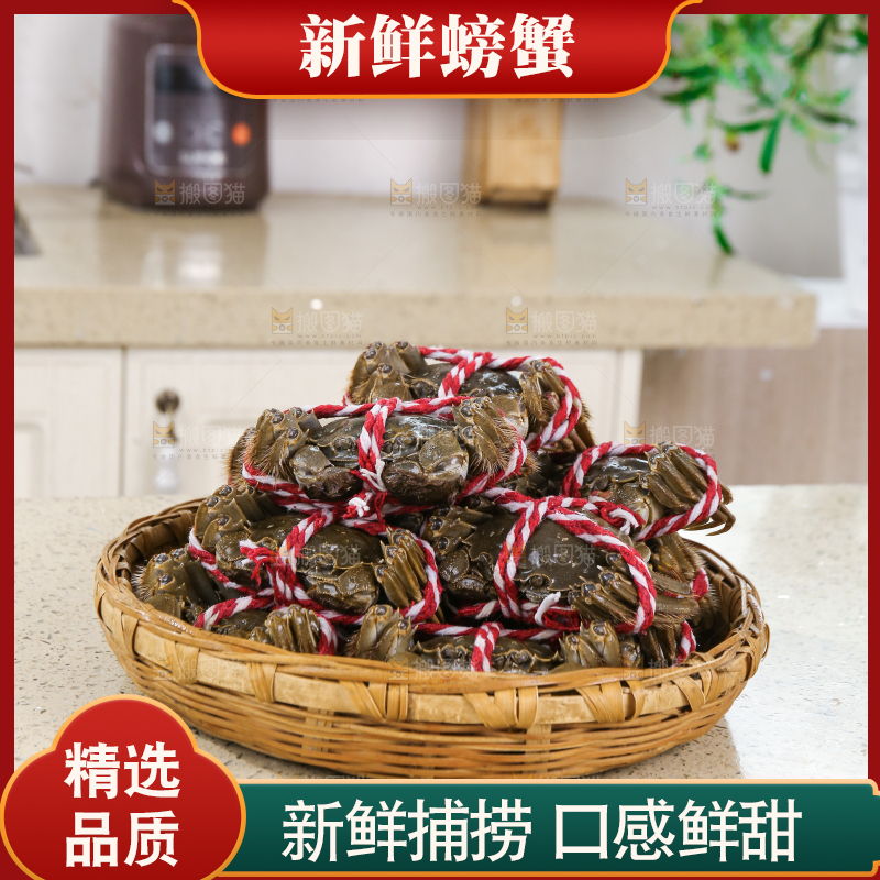 浅底上的鲜活螃蟹