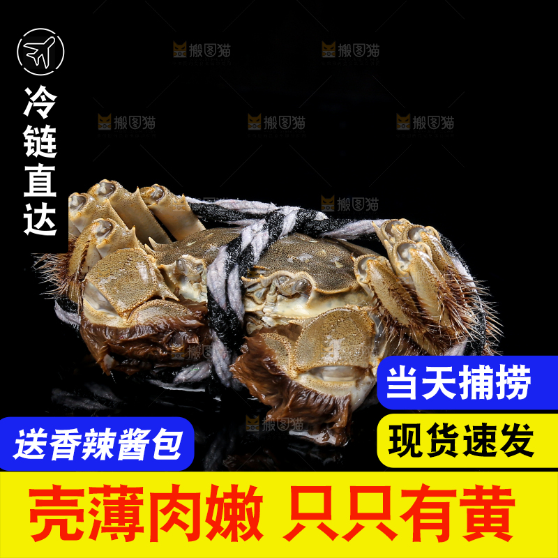 黑底上的鲜活大闸蟹