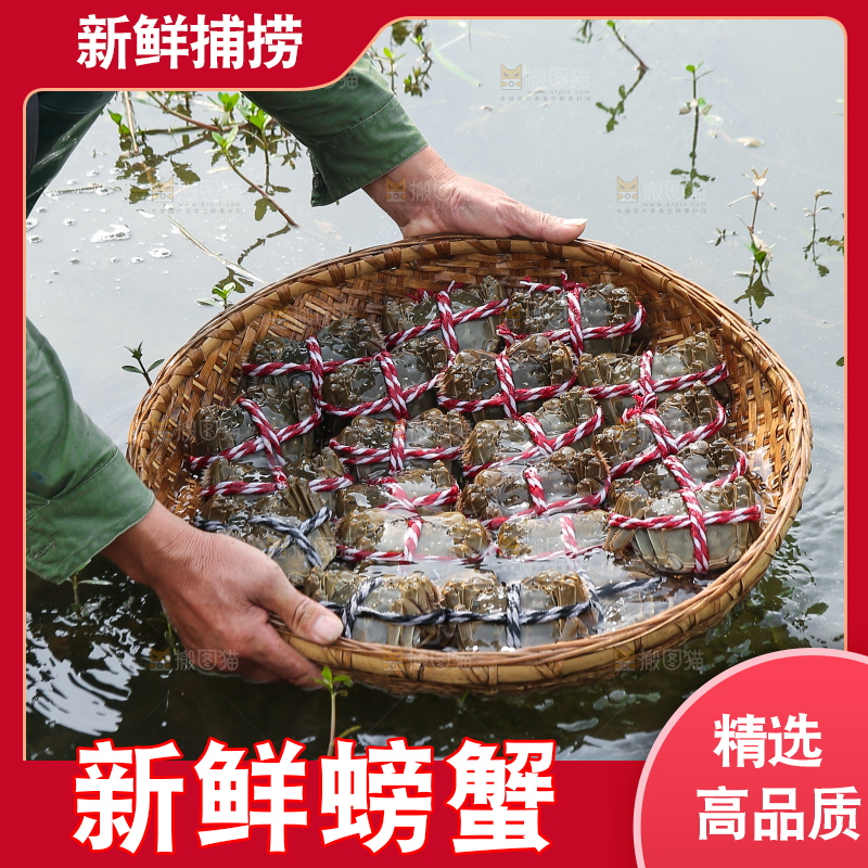 手里拿着阳澄湖大闸蟹