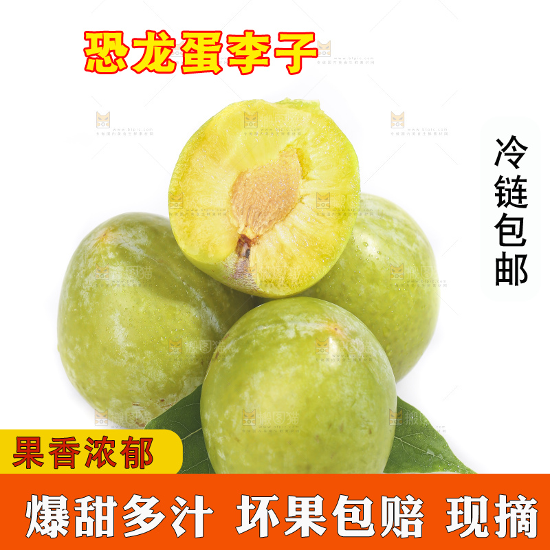 白底上放着新鲜恐龙蛋