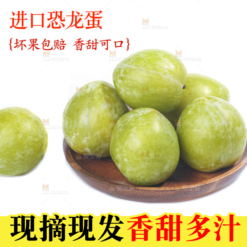 白底上放着新鲜恐龙蛋