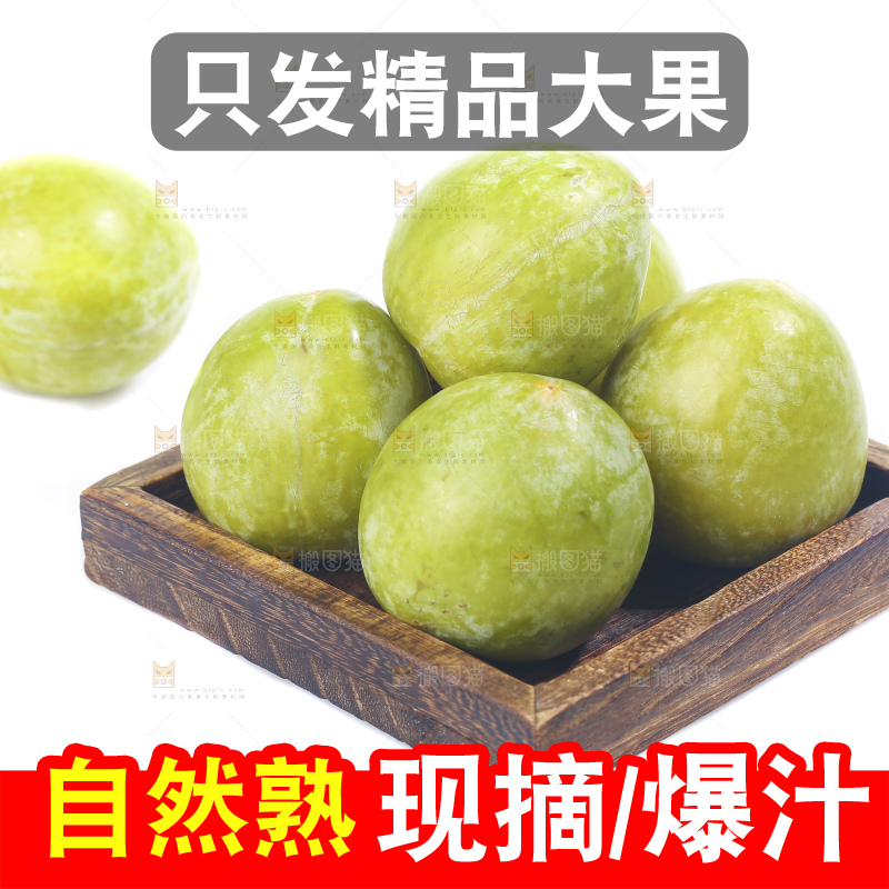 白底上放着新鲜恐龙蛋
