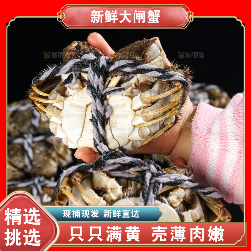 黑底上的鲜活大闸蟹