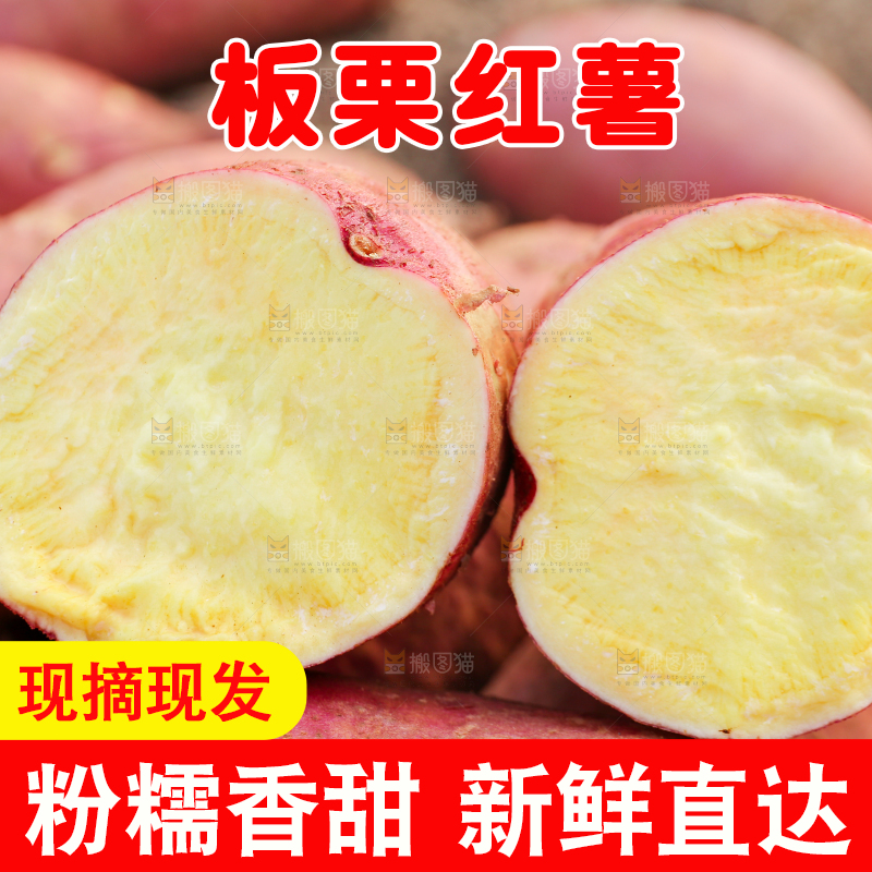 手里拿着黃心板栗薯