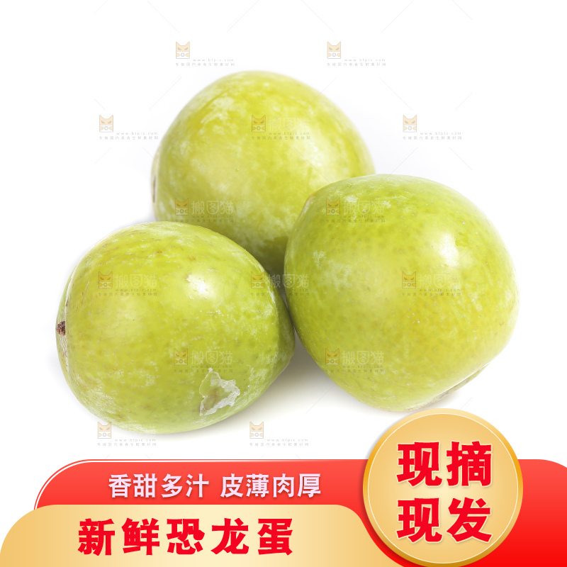 白底上放着新鲜恐龙蛋