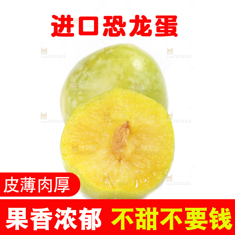 白底上放着新鲜恐龙蛋