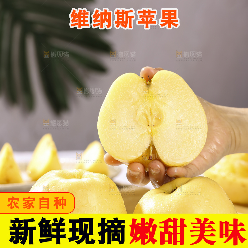 浅底上的维纳斯苹果