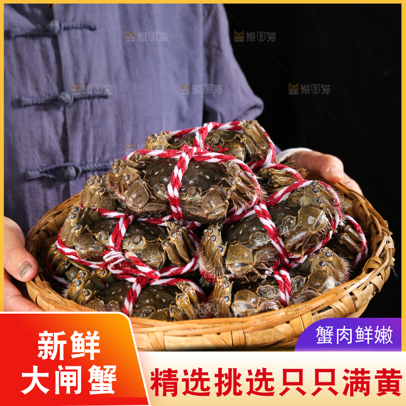 黑底上的鲜活大闸蟹