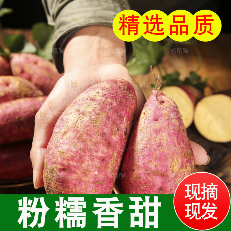深底上的板栗红薯