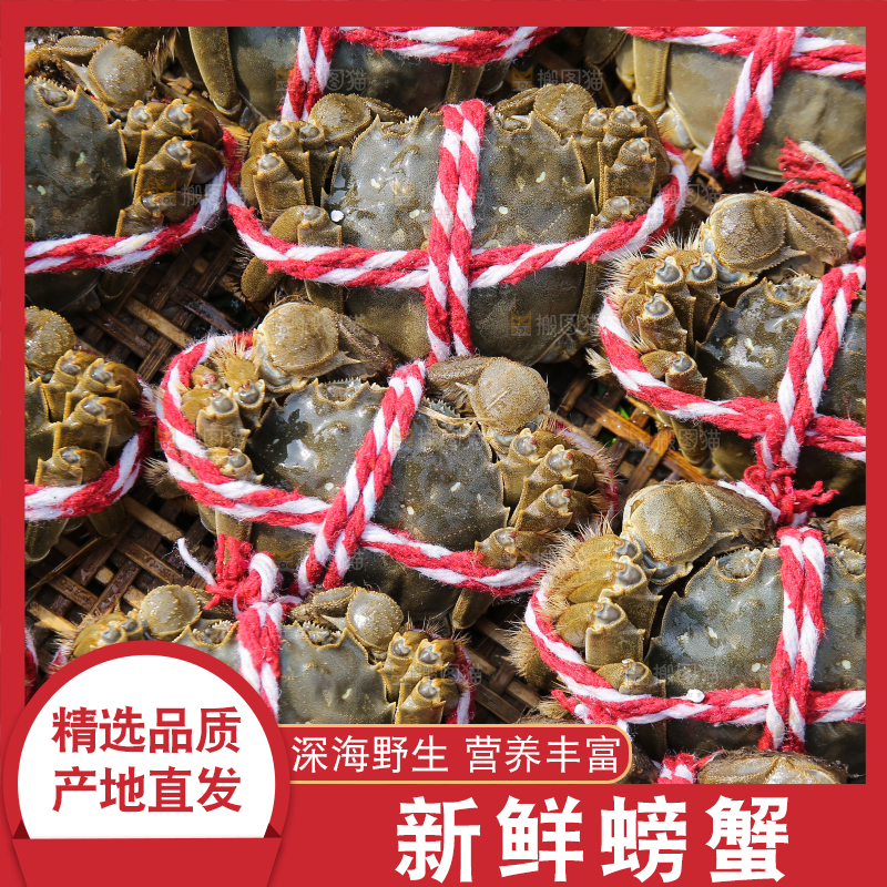 手里拿着阳澄湖大闸蟹