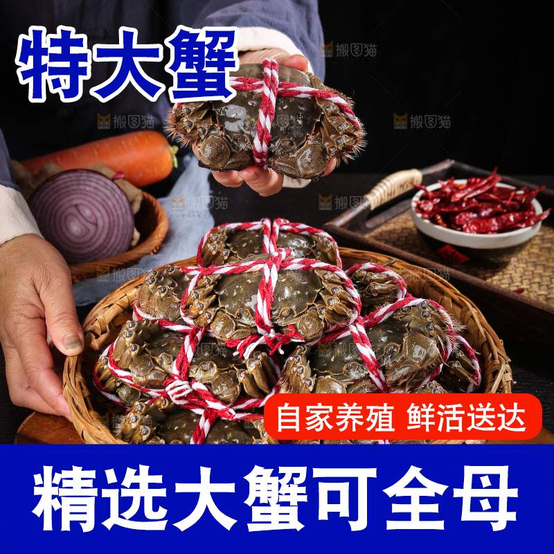 黑底上的鲜活大闸蟹