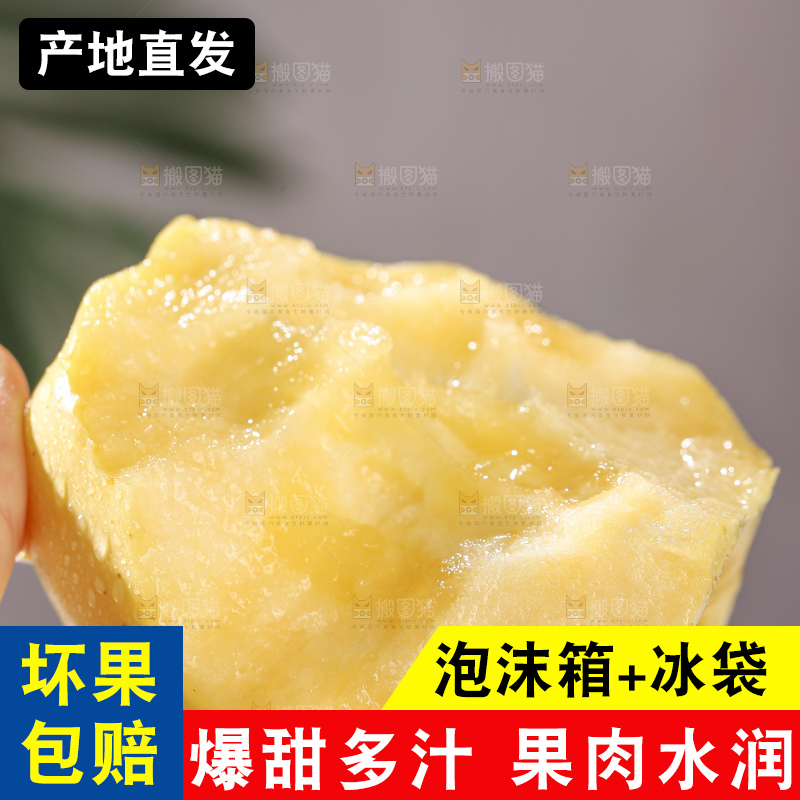 浅底上的维纳斯苹果