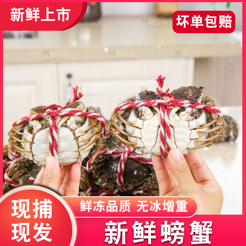 浅底上的鲜活螃蟹
