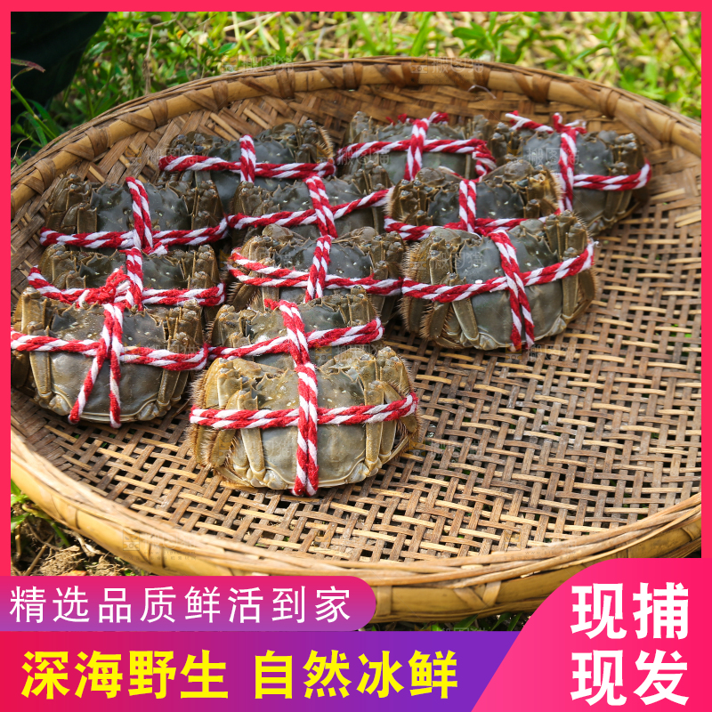 手里拿着阳澄湖大闸蟹